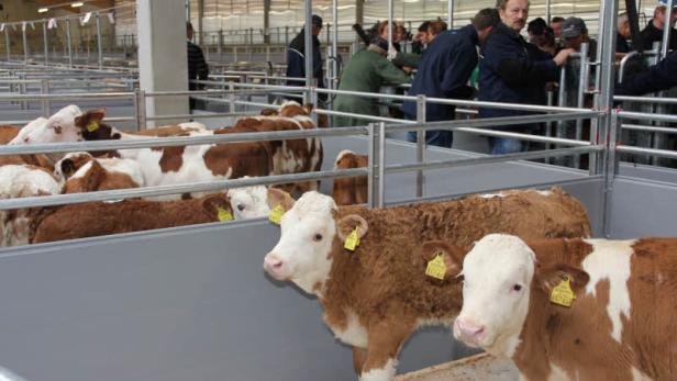 Bockiger Start für neues Zentrum der Hörndlbauern