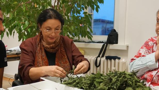 Tee aus dem Therapiegarten: Die Künstlerin Brigitte Gadnik-Jiskra (Bildmitte) bringt im Pavillon IX in Lainz unterschiedliche Generationen und Kulturen an einen Tisch.