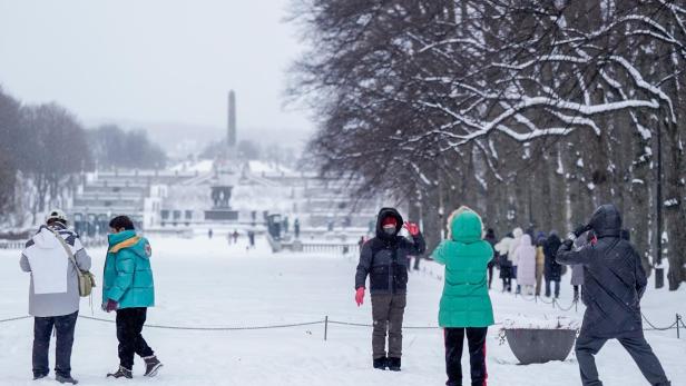 Snowfall in Oslo