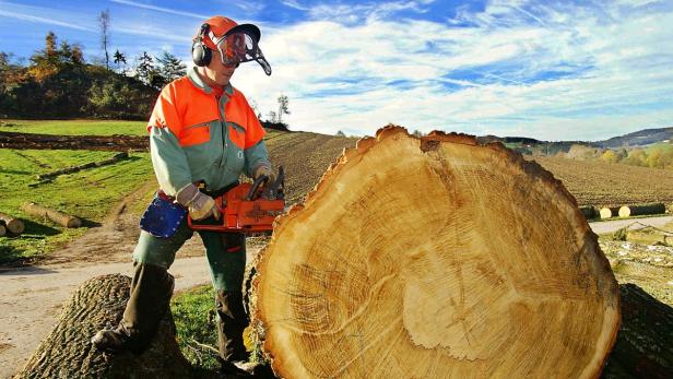 Ein Forstwirt mit Schutzkleidung sägt einen Baumstamm mit einer Kettensäge.