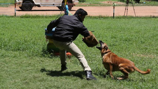 Beiß- und Angriffstraining für Polizeihunde in Indien. Für Private soll dies verboten werden, fordert die Autorin