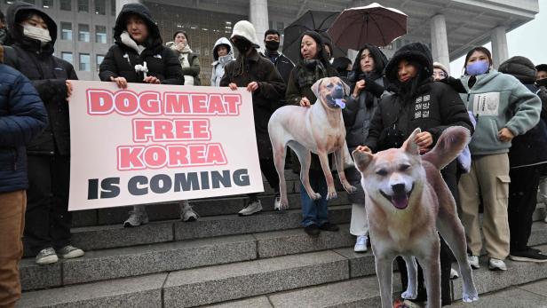 Südkorea verbietet das Schlachten von Hunden