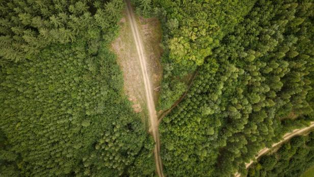 Österreichs Forststraßen würden fünfmal um die Erde gehen