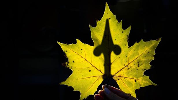 Herbst bleibt weiter sonnig