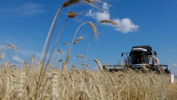 Ärger mit der Agrar-Supermacht: EU würgt an Importen aus der Ukraine