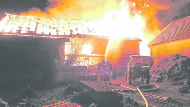 Brand im Baufachhandel Höfler in Reith bei Böheimkirchen