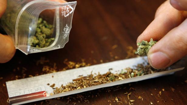 Polizei stellt Cannabis für 4,5 Mio. Joints sicher