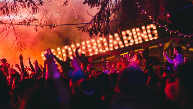 Von Hüttenmusik zum Bass-Boom: Wie Festivals die Alpen erobern