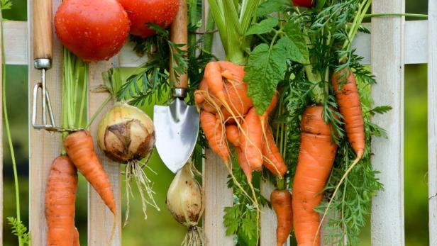 So bringen Sie Vielfalt in Ihren Gemüsegarten