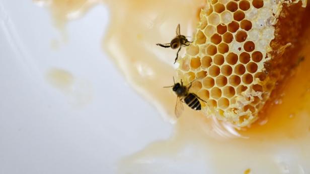 Kampf gegen gefälschten Honig aus China: EU kontrolliert unsere Frühstückstische