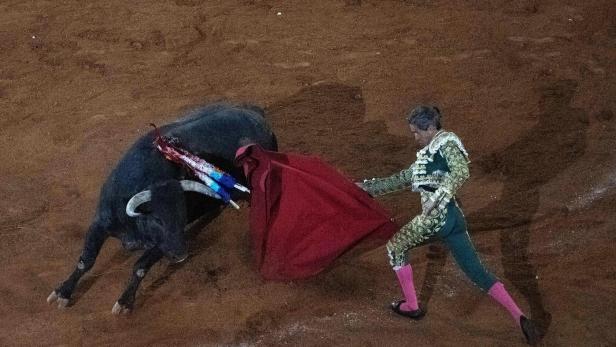 Ein Stierkämpfer und ein Stier in der Arena in Mexiko-Stadt