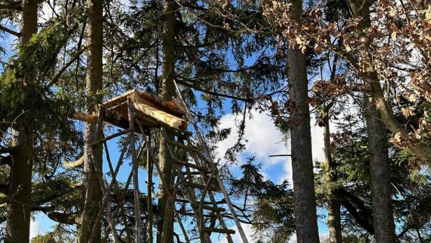 Hochstand in NÖ gesprengt: Beschuldigte waren geständig