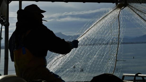 Umriss von einem Fischer, der sein Netz ins Boot zieht