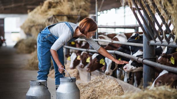 Dorfhelfer und Dorfhelferinnen werden für die Hilfe im Betrieb oder im Haushalt auf Höfen ausgebildet