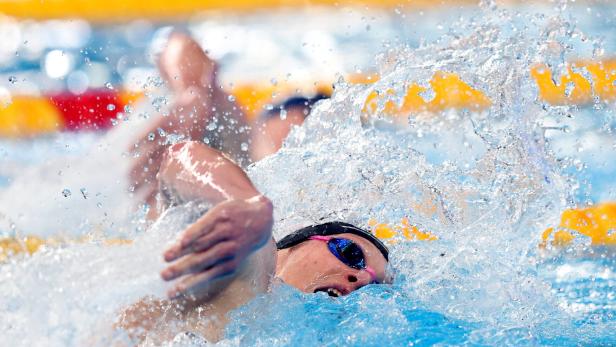 Langbahn-WM in Doha: Schwimm-Star Auböck ging im Finale unter