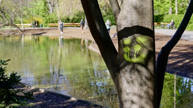 Wien: Trio zielte im Stadtpark mit Schreckschusspistole auf Passanten