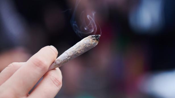 50 Prozent der Österreicher für Cannabis-Legalisierung, auch FPÖ-Wähler