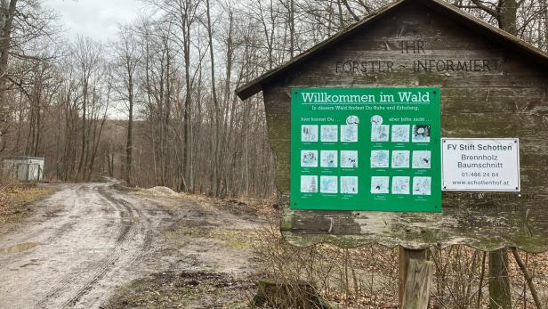 In einem Wald in Wien wurde ein verbrannter Frauen-Körper gefunden
