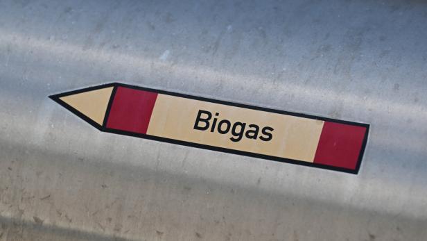 Durchbruch: Türkis-Grün einigt sich auf Biogasgesetz