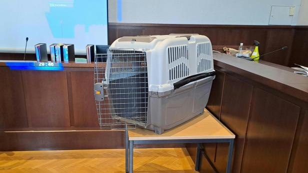 Prozess um Bub in Hundebox in NÖ: "Es war klar, dass er Hilfe braucht"