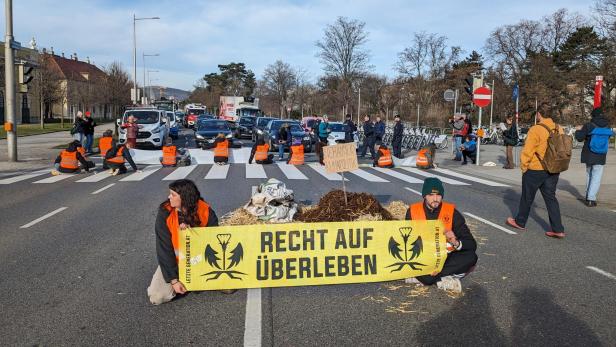 Verkehrsblockade: Klima-Aktivisten kleben vor Schloss Schönbrunn
