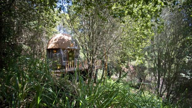 Ein rundes Baumhaus versteckt im dichten Grün des Waldes.