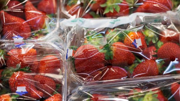 Aufregung in Spanien: Erdbeeren mit Hepatitis A aus Marokko importiert