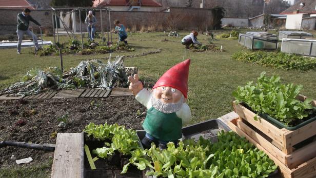 City Farm im Augarten