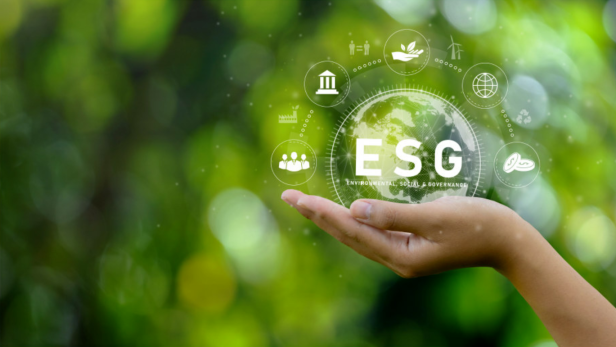 Nachhaltig investieren: Die Einhaltung von ESG-Kriterien bekommt immer mehr Gewicht