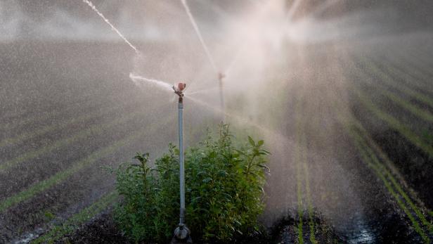 Österreichs Grundwasserstände wieder auf hohem Niveau