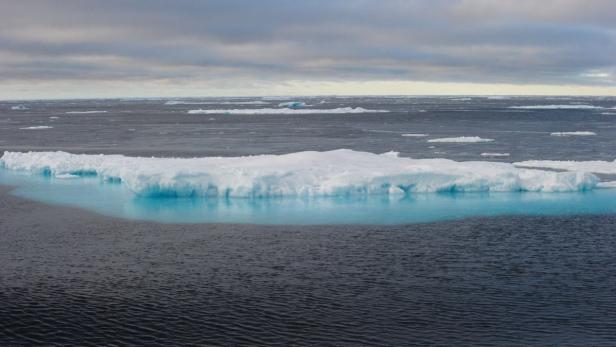 Arktis-Eis taut erstmals bis zum Nordpol