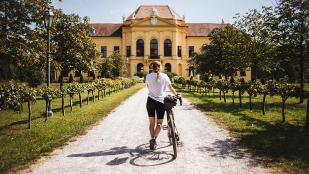 Die besten Radtouren in Niederösterreich: Geheimtipps von Locals