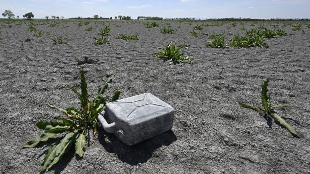 Trockenperioden werden häufiger. Klimafitte Pflanzen, saugfähige Böden und Infrastruktur helfen