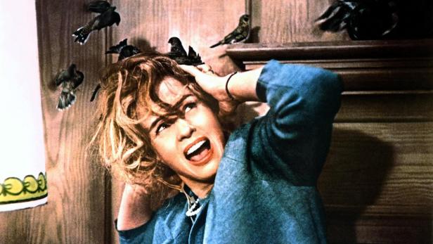 Mit dem Horror-Klassiker &quot;Die Vögel&quot; machte Star-Regisseur Hitchcock seine Lieblingsblondine Tippi Hedren zum Star. Doch dann habe er ihre Karriere zerstört, sagt Hedren.