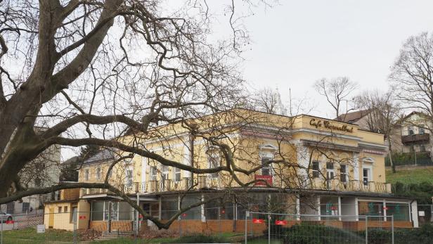 Historische Villa soll aus Dornröschenschlaf erwachen