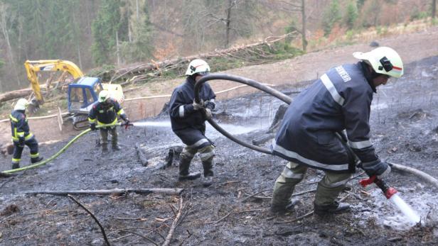 200 Feuerwehrleute kämpften gegen den Waldbrand an.