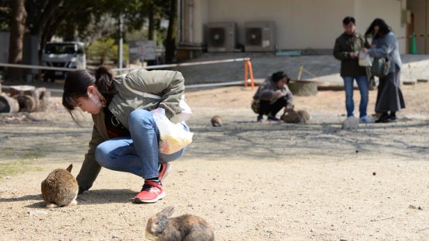 Japan: Seltsame Kanincheninsel mit Abgründen