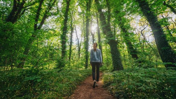 Ein Spaziergang in der Natur