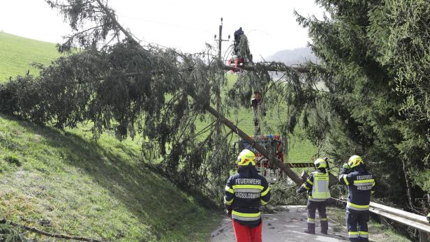 Im Süden Österreichs knickte der Wind am Montag Bäume um
