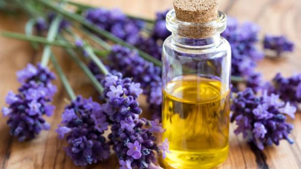 Welche Wirkung Lavendelöl bei milden Depressionen zeigt
