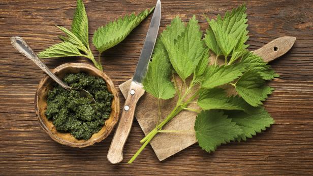 Ein Holzteller mit Brennnesselpesto, frischen Brennnesseln und einem Messer.