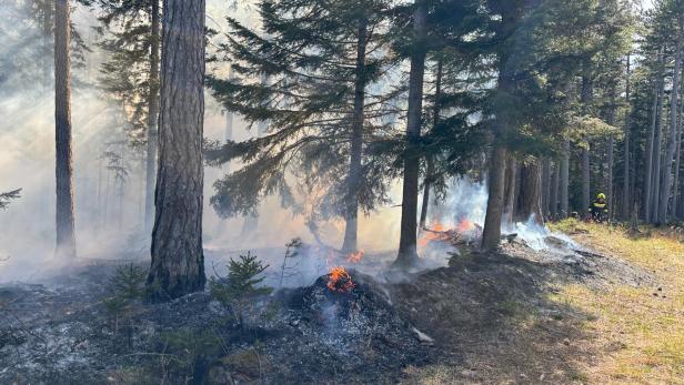 Niederösterreich: Waldbrand aus Flugzeug entdeckt