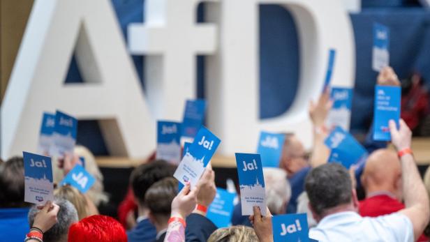 AfD-Mitglieder beim Landesparteitag der AfD Brandenburg halten Ja-Karten in die Luft