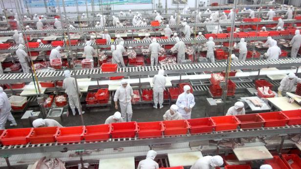 CHINA ECONOMY SHUANGHUI PORK PROCESSING