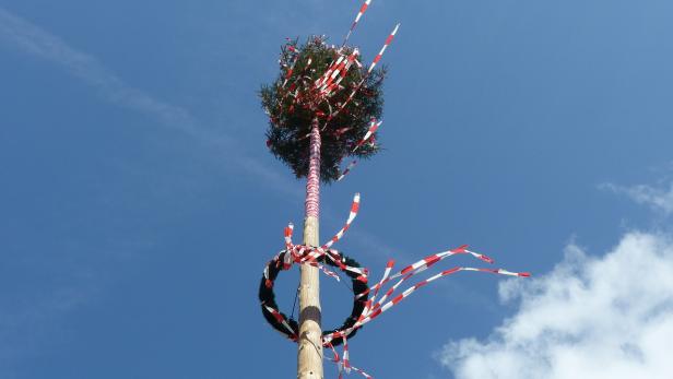 Ein Maibaum mit rot-weißen Bändern vor blauem Himmel.