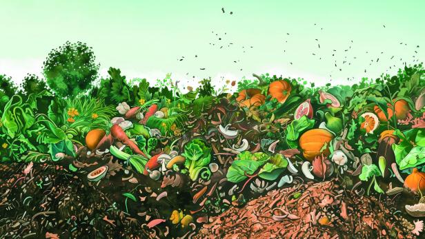 Eine Illustration eines Komposthaufens mit Gemüse, Blättern und Erde.
