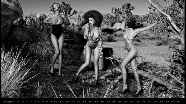 Kalender: Mit Nackedeis ins neue Jahr