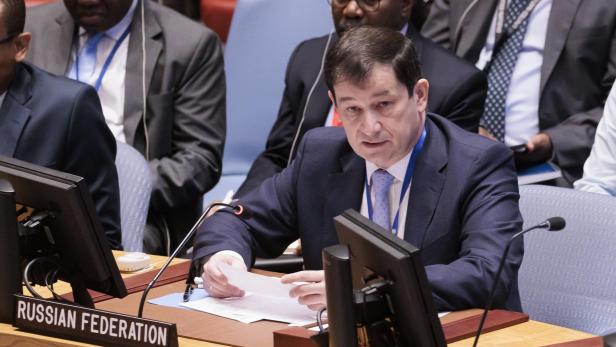 United Nations Security Council Meetings Called by Russia and Ukraine