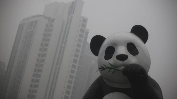 epa03551130 A large statue of a giant panda is darkened by heavy smog in Beijing, China 23 January 2013. China&#039;s capital was once again hit by high levels of air pollution while the US Embassy and the official PM2.5 air quality monitoring stations in Beijing indicate fine particle pollution is hazardous to the health of the entire population. EPA/DIEGO AZUBEL