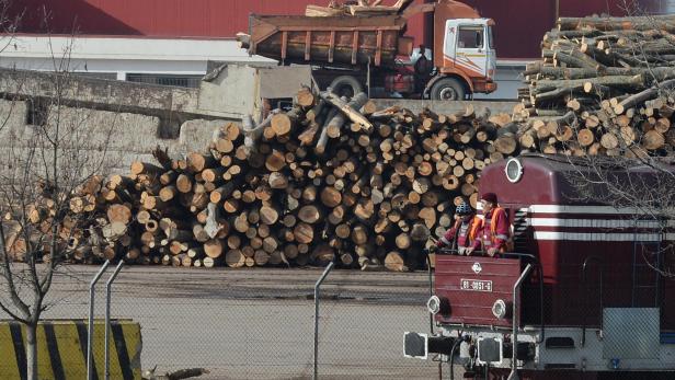Holzstapel und LKWs in Kronospan-Fabrik 